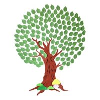 [wish] Giấy Dán Tường Hình Cây Điều Ước Viết Thư Pháp Trang Trí Lớp Học