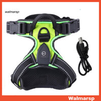 [Wmp] Dây nịt chó an toàn ban đêm Dây nịt thú cưng Dây nịt chó có đèn Led có thể sạc lại để đi bộ ban đêm Dây đeo ngực thú cưng phát sáng có thể điều chỉnh Bộ dây nịt thú cưng phát sáng