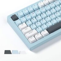 Womier Shine Through Keycaps PBT Cherry Profile Custom Keycap Set cho Cherry Gateron MX Switch Bàn phím cơ