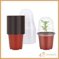 Woow 5 10 15 20 Chiếc Nhựa Mầm Non Hạt Bắt Đầu Nồi Cho Succulents Cắt Cấy Hoa Thực Vật Rau Contai