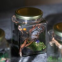Workshop làm tiểu cảnh Terrarium Mini kết hợp Tiêu Bản Bướm Trong Lọ