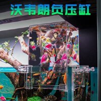 Wowelang bể cá áp suất âm sáng tạo sinh thái chân không treo betta con công nhỏ nước ngược dòng