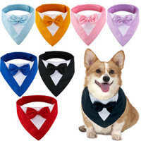 WPET Vòng Cổ Cho Chó cho chó Chất liệu Polyster