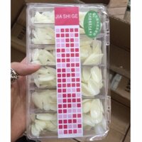 WSR Móng up Ovan Jeliva 64 H91