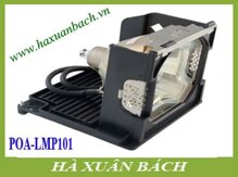 Bóng đèn máy chiếu Eiki LMP - 101