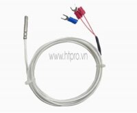 WZP-PT100 Cảm Biến Nhiệt Độ PT100