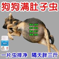 Xả côn trùng một mảnh] Thuốc đuổi côn trùng Chó mèo Thuốc đuổi côn trùng Dây gia cầm cho thú cưng Côn trùng Côn trùng Cắn Côn trùng Thuốc đuổi côn trùng mạnh mẽ 0224 ~ 25 ~250224