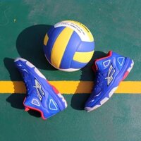 XẢ 𝐑Ẻ 𝐍𝐇Ấ𝐓 HÈ HOT [𝐒𝐀𝐋𝐄 27-3] GIÀY BÓNG CHUYỀN BEYONO GOLDEN STAR C - BLUE [ XIÊU RẺ]