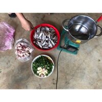 XẢ HÀNG MÁY XAY GIÒ CHẢ, CHÀ BÔNG,XAY THỊT 750W ĐA NĂNG