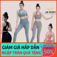 Xả [HOÀN XU] Bộ Tập Gym Nữ, Đồ Tập Yoga, Thể Thao chất dệt kim, Quần Dài, Áo Bra Cao Cấp có sẵn lót SD09