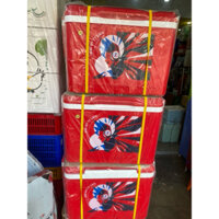 XÃ KHO 5 THÙNG ĐÁ 35L TÍ LIÊN