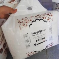[XẢ KHO]  Bỉm quần cao cấp HIPGIG M100,L100,XL100