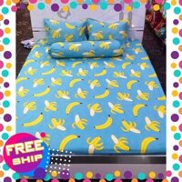 Xả kho Bộ drap giường cotton poly cao cấp (chọn mẫu)
