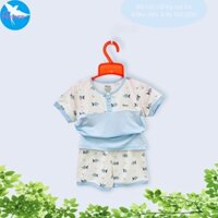 xả kho bộ đùi avaler