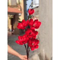 Xả kho cành hoa mộc lan 6 nhánh sịn đẹp