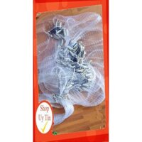 [Xả Kho] Chài cước chân chì đúc mắt 2cm, chài đánh cá