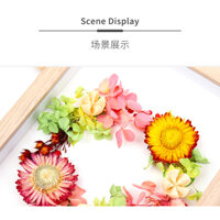 [XẢ KHO - GIÁ RẺ] Khung tranh hoa khô sáng tạo DYI