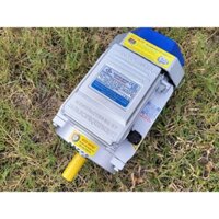 XẢ KHO motor điện 1 pha Toàn Phát 3 ngựa vòng tua 2900v/p chính hãng