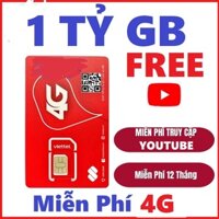 [XẢ KHO] Sim 4G Viettel 1 Năm 12MXH80Y 6MXH80Y Không Giới Hạn MXH Thả Ga Không Mất Phí