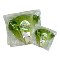 Xà Lách Carol VietGAP Trường Phát 300G (Gói)