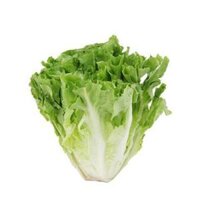 Xà lách Carol VietGAP_NM (Kg)