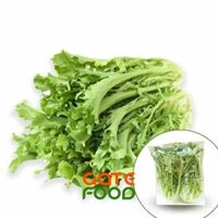 XÀ LÁCH FRISÉE – LOẠI 1KG