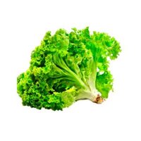 Xà lách lo lo xanh _ NM (Kg)