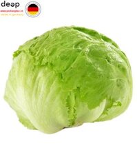 Xà lách Mỹ Iceberg 600g DEEP29 www.yeuhangduc.vn sẵn sàng cho bạn