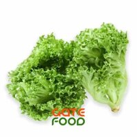 XÀ LÁCH SALANOVA XANH – LOẠI 1KG