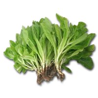 Xà Lách Ta VietRat Gói 1kg