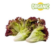 Xà lách tím hữu cơ Food King (0.25Kg)