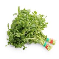 Xà lách xoong VietGAP_NM (Kg)