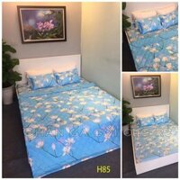 [Xả lỗ gấp]Chăn Hè Trần Bông Chất Liệu Cotton Poly 1M8X2M-CHPL438