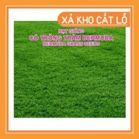 XẢ LỖ TOÀN BỘ Hạt Giống Thảm Cỏ Bermuda gói 500g - Cỏ Sân Bóng,Sân gol, Cảnh Quan