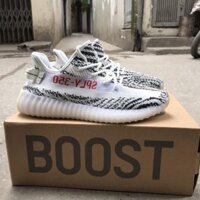 Xả Mới - [Hàng Sẵn]Giày Yz350 Ngựa Vằn AL6 2021 ༈