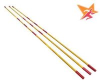 Xà nhảy cao thi đấu T001