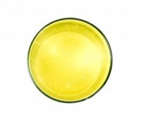 XÀ PHÒNG THỰC VẬT HỮU CƠ DẠNG LỎNG (98% ORGANIC CASTILE SOAP)