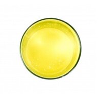 XÀ PHÒNG THỰC VẬT HỮU CƠ DẠNG LỎNG (98% ORGANIC CASTILE SOAP)