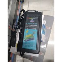 XẠC XE MÁY ĐIỆN 48v- 20AH
