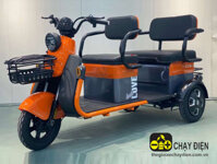 Xe 3 bánh điện 2 chỗ ngồi Victory S2
