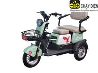 Xe 3 bánh điện lixi Eb