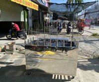 XE CÁ LÓC NƯỚNG TUYẾT