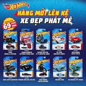 Xe cơ bản Hot Wheels C4982