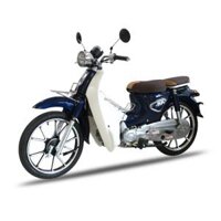 Xe Cub 50 Taya Pro 2024