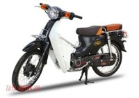 Xe CUB 81 TAYA BLACKMOON (Luxury)