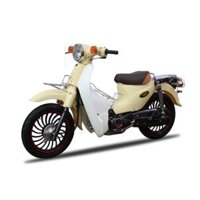 Xe cub 81 Taya Minion (Kem)