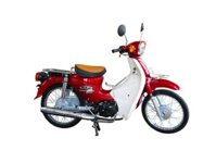 Xe Cub 81 Việt Thái New 50CC