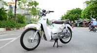 XE CUB ALLY NEW 50CC