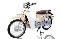 XE CUB ALLY NEW 50CC