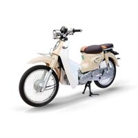 XE CUB ALLY NEW 50LE